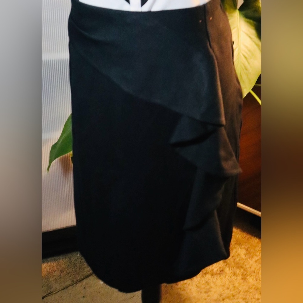 Lane Bryant ICON Collection Skirt Vintage - Picture 3 of 7